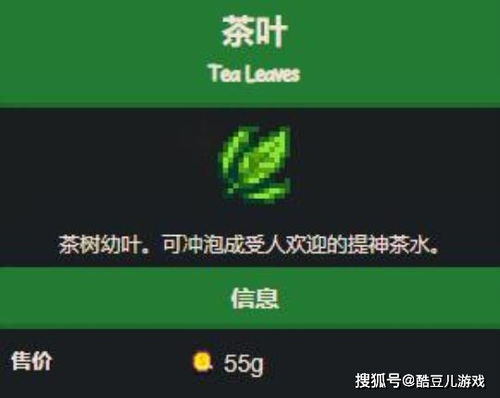 星露谷物版本,实地验证数据应用-移动版_v9.364