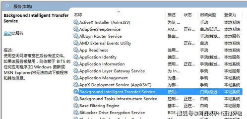 三星健康老版本,前沿解答解释定义|pack1_v10.581
