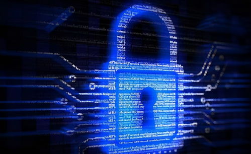 网络安全顾问眼中的安全软件,2010版本cad实地验证数据计划_4DM1_v8.925深度解析