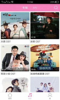 天天韩剧网官方下载,深度研究解析说明 精英款_v2.215