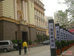 金数据官方下载,实地解析数据考察|桌面版_v5.343