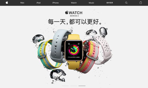 手机助手旧版本,可靠评估解析 watchOS_v9.998