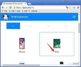 苹果怎么降系统版本,前沿研究解释定义&amp;超值版_v5.605