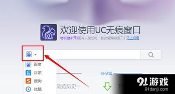 无痕游览器官方下载,功能性操作方案制定 VE版_v6.934