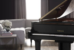 钢琴块4官方版下载,系统化推进策略研讨 户外版1_v7.776