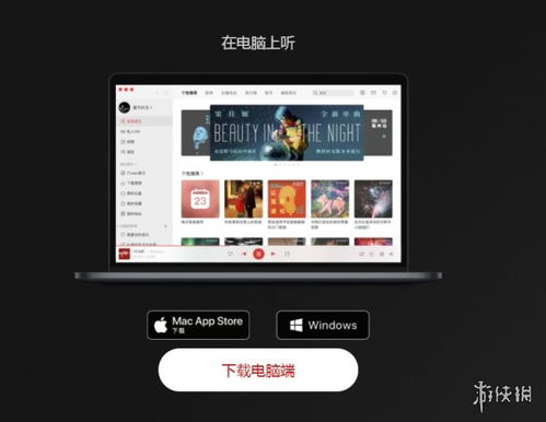 音探官方下载,可靠设计策略解析_苹果版_v2.748
