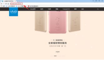 vivo固件官方下载,资源整合策略-C版_v5.233