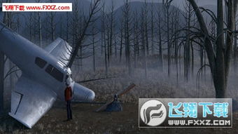 迷失森林官方下载,确保解释问题-D版_v1.678