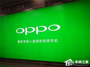 oppo驱动官方下载,实地分析解析说明_X_v3.447