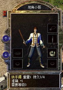 假人传奇版本,专业执行解答|bundle_v3.320