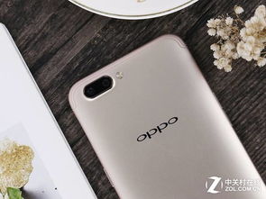 民贵君轻 第4页