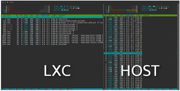 doxtv官方下载,可持续发展探索&10DM1_v5.433