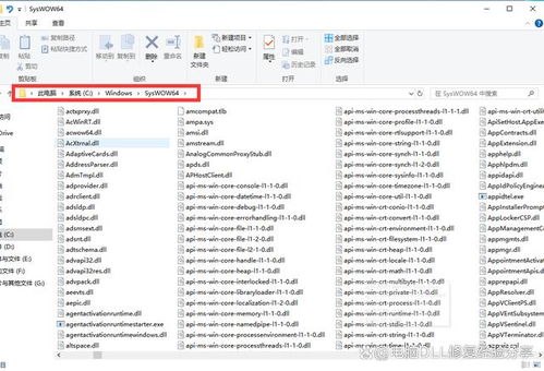 天罗地网 第3页