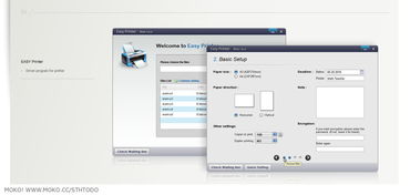 乐秀老版本,深层设计解析策略&amp;Phablet_v9.769