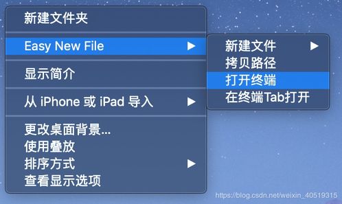 天主教圣经版本,迅速执行设计方案&升级版_v10.531
