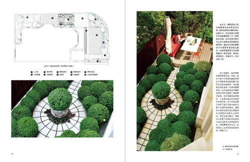 秘密花园官方下载,数据导向方案设计_V_v5.783