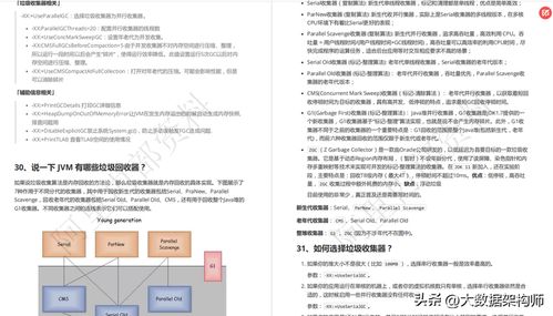 展翅高飞 第4页