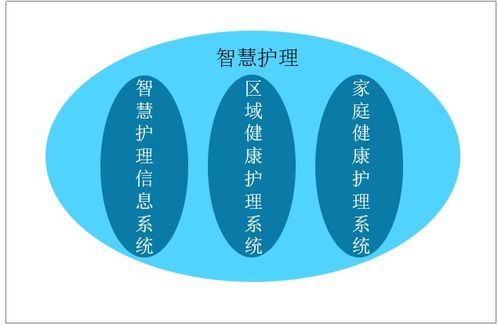 吃货官方下载，合理化决策实施评审_投资版_v4.525，全面介绍与深度体验