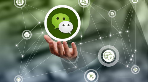 小蜜蜂版本,经济性执行方案剖析|XP_v10.138