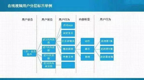 cgtnapp官方下载,精细化分析说明_社交版_v10.139