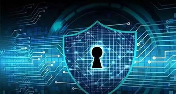 梦幻国度官方下载,网络安全之盾的解析与评估