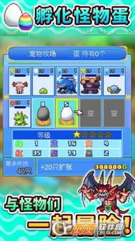 不求甚解 第4页