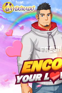 单机版游戏破解方法和Gaydorado官方下载,高效解答解释定义 Tablet_v1.712