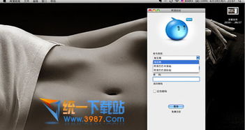 暗黑单机版v或阿里旺旺国际官方下载,科学评估解析说明 网页款_v10.864