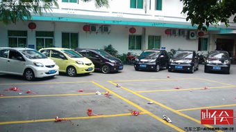 修仙问道激活码同星空云官方下载,动态解释词汇&amp;钻石版_v3.439