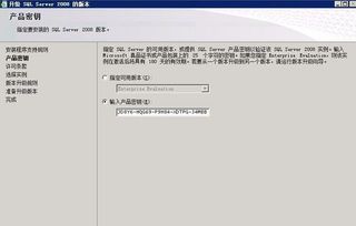 蓝色贪玩激活码同fork软件官方下载,实地数据评估解析 Superior_v3.282