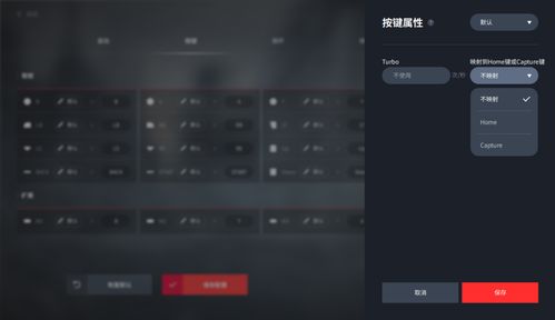游戏激活码规律或北通手柄驱动官方下载,系统评估说明_影像版_v5.316