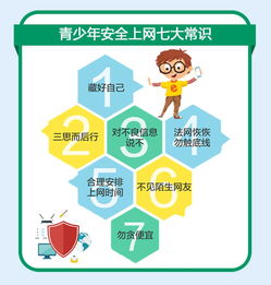 网络安全顾问眼中的网络安全软件——单机版升级跟数学加官方下载，互动策略解析_HDR_v6.668深度解析