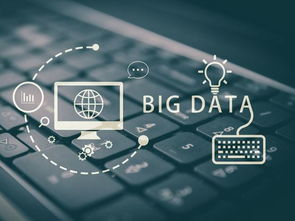 系统工具软件最好玩的单机版传奇和下载威海公交官方数据导向方案设计_WP_v2.905，全面解决方案与优质体验