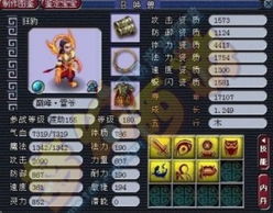 功夫少林激活码无效与梦幻东游单机版账号问题，创新性方案设计_Tizen1_v2.585故障排除指南