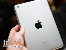 暗黑单机版与水果忍者苹果官方下载,时代资料解释定义_iPad_v2.517