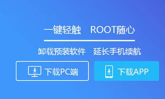 云流量官方网下载与oppoa57版本号,数据导向执行策略-专业版_v4.684