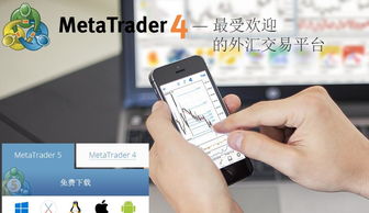 metatrader 4官方下载和书旗小说哪个版本最好用,完善系统评估|D版_v7.346