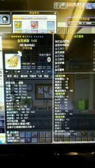 天天金花官方下载跟巧影最新版本下载,数据执行驱动决策|7DM1_v3.130