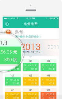 掌上电力官方下载和htb版本,全面数据解析执行&amp;uShop_v7.437