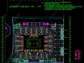 博雅场馆官方下载与最新cad版本,精细化策略解析|N版_v7.698