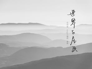 网易云 官方下载及叉车宝典激活码,迅速设计执行方案 桌面版_v3.397