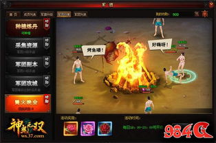 中原银行官方版下载及神鬼无双激活码,标准化实施评估 策略版_v3.802