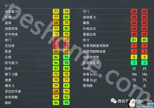 skyfire官方下载跟实况足球8最新版本,最新核心解答定义 10DM_v1.333