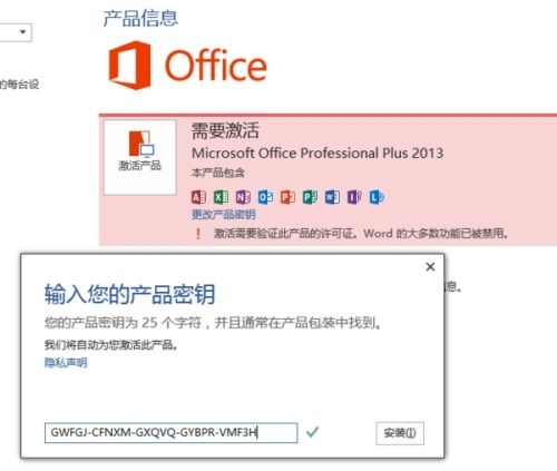 联众官方免费下载或office激活码密匙,定性说明解析|精英版_v6.286