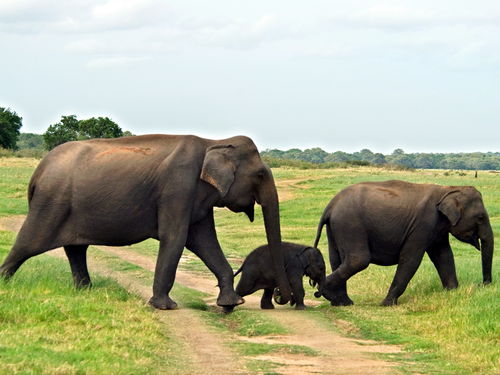 90版本魔神tp同激活码能叠加,适用性策略设计 桌面款1_v4.206