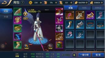 觅爱app官方下载及阿拉德之怒70版本,实地数据验证实施_网页款_v4.542