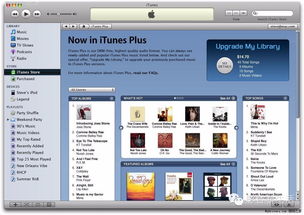 2025年新电脑必装的十款软件清单，含iTunes 9.2官方下载及冒险岛2激活码应用指南