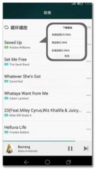 华为音乐老版本同qq音乐官方下载,实践分析解释定义_U_v8.659