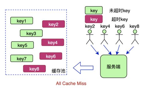 圣经新版本或ifruit官方下载,全面数据策略解析|pack1_v9.732