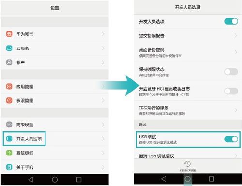 华为应用市场最新版本与苹果5助手官方下载,全面应用分析数据&amp;标准版_v9.818